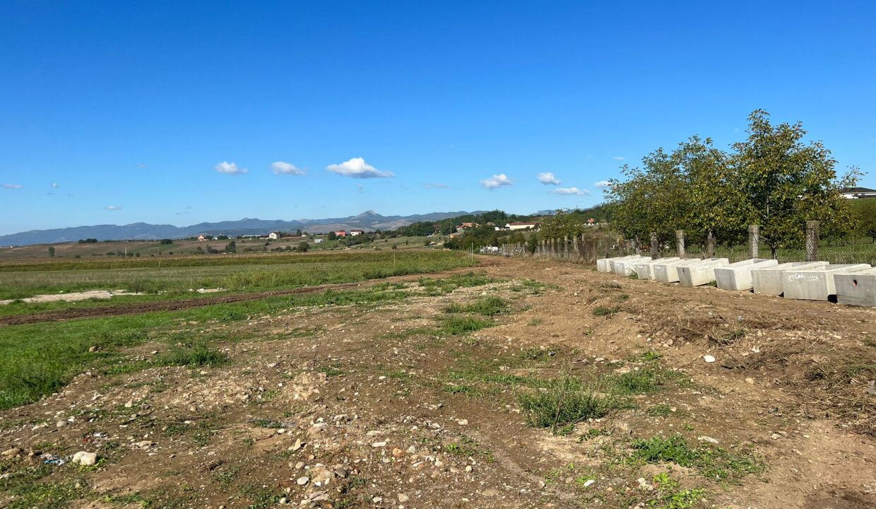 7e57a81e-275c-4990-917e-340f93a4942a