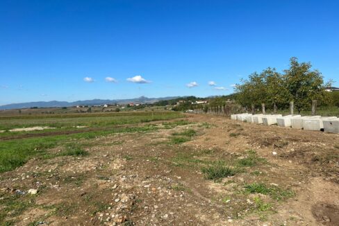 7e57a81e-275c-4990-917e-340f93a4942a