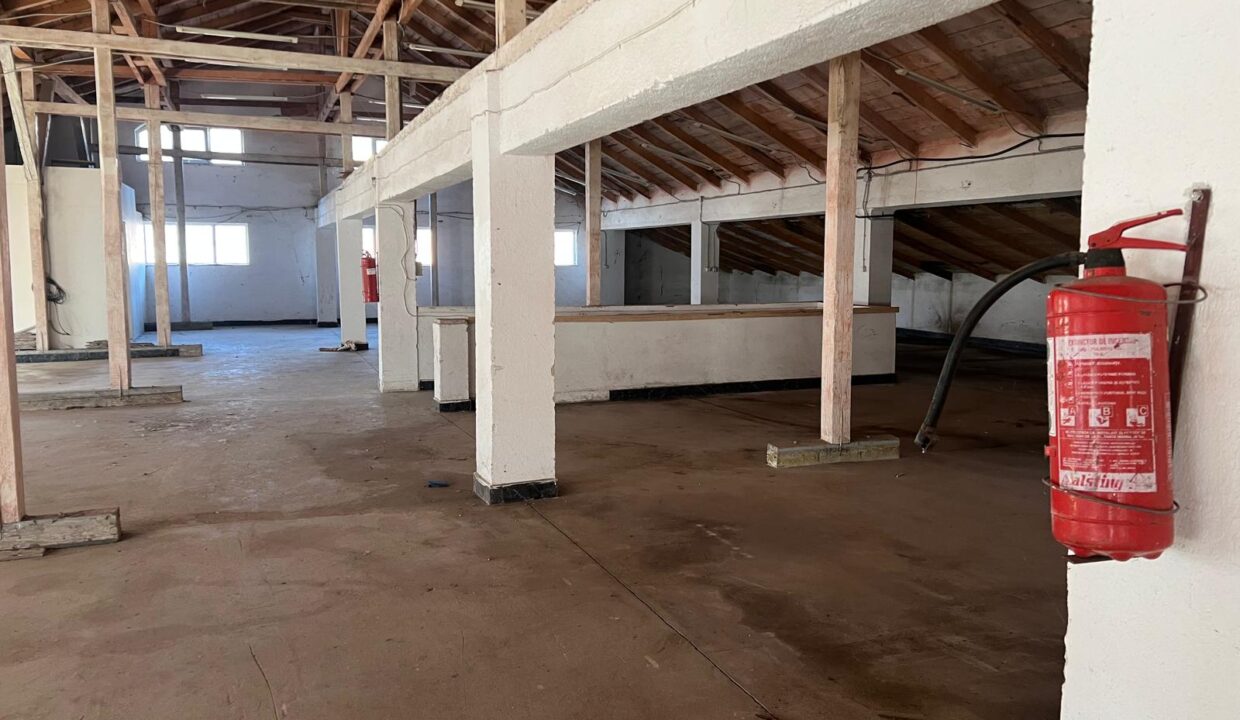 WhatsApp Image 2025-01-28 at 17.01.55 (1)